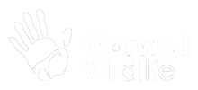 Marwell Wildlife Logo