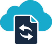 Disaster Recovery Services Disaster Recovery Services